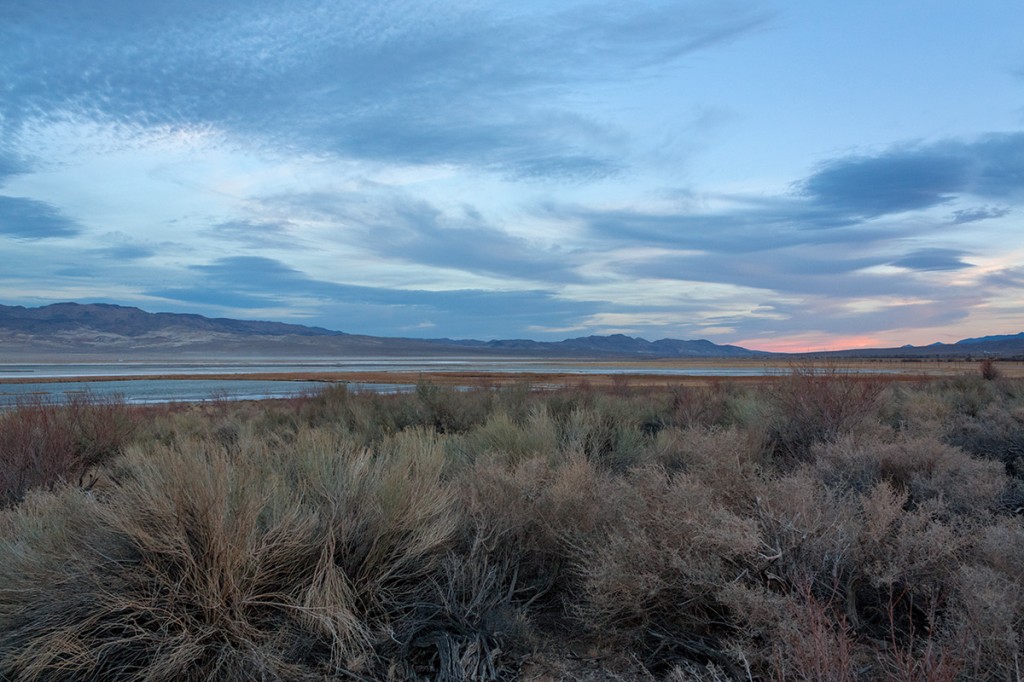 Looking Southeast from the "Triangle's" Northwest boundary