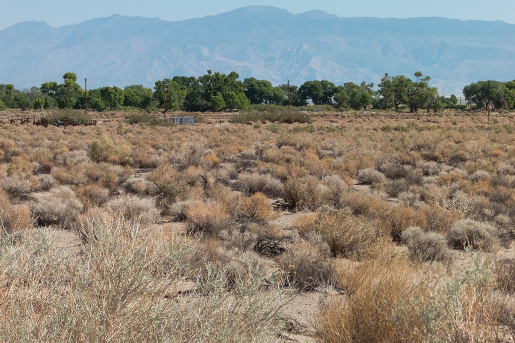 View from Southerly Fall Road looking NE across Olancha Creek to the Inyo Range.